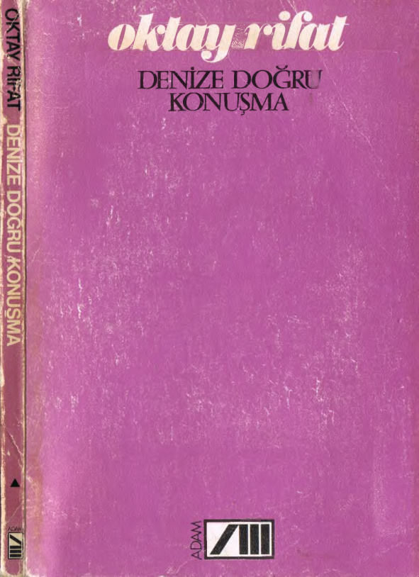 Denize Doğru Konuşma PDF İndir – Oktay Rifat