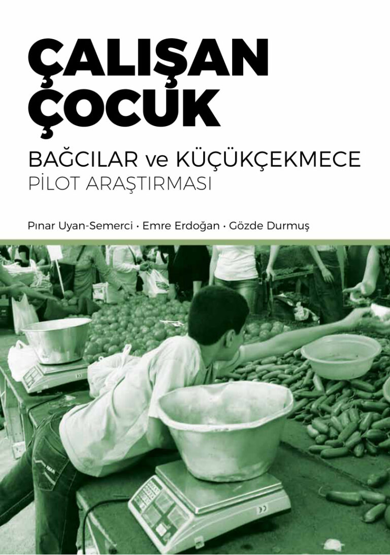 Pınar Uyan Semerci Emre Erdoğan Gözde Durmuş Çalışan Çocuk İstanbul Bilgi Üniversitesi Yayınları Kitap Kapağı