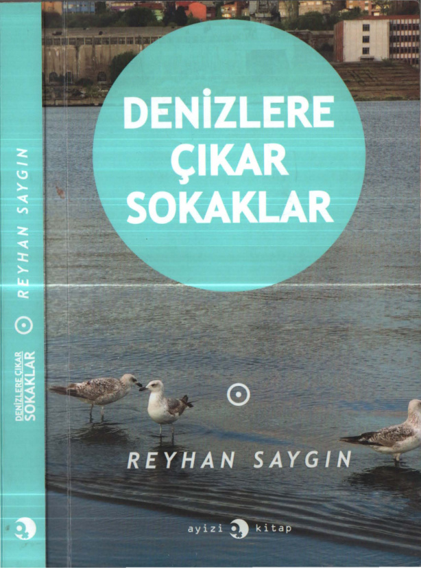 Denizlere Çıkar Sokaklar PDF İndir – Reyhan Saygın