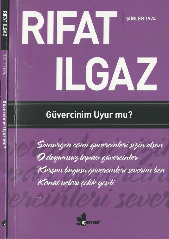 Güvercinim Uyur mu PDF İndir – Rıfat Ilgaz