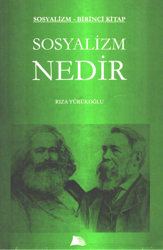 Sosyalizm 1. Kitap: Sosyalizm Nedir PDF İndir – Rıza Yürükoğlu