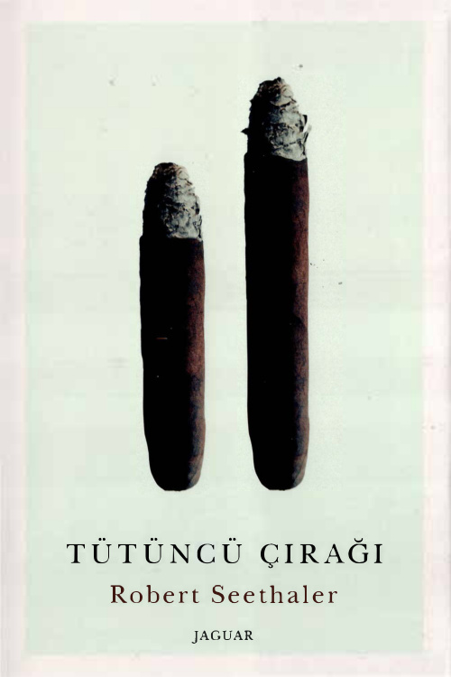 Tütüncü Çırağı PDF İndir - Robert Seethaler 10 Tütüncü Çırağı PDF İndir – Robert Seethaler