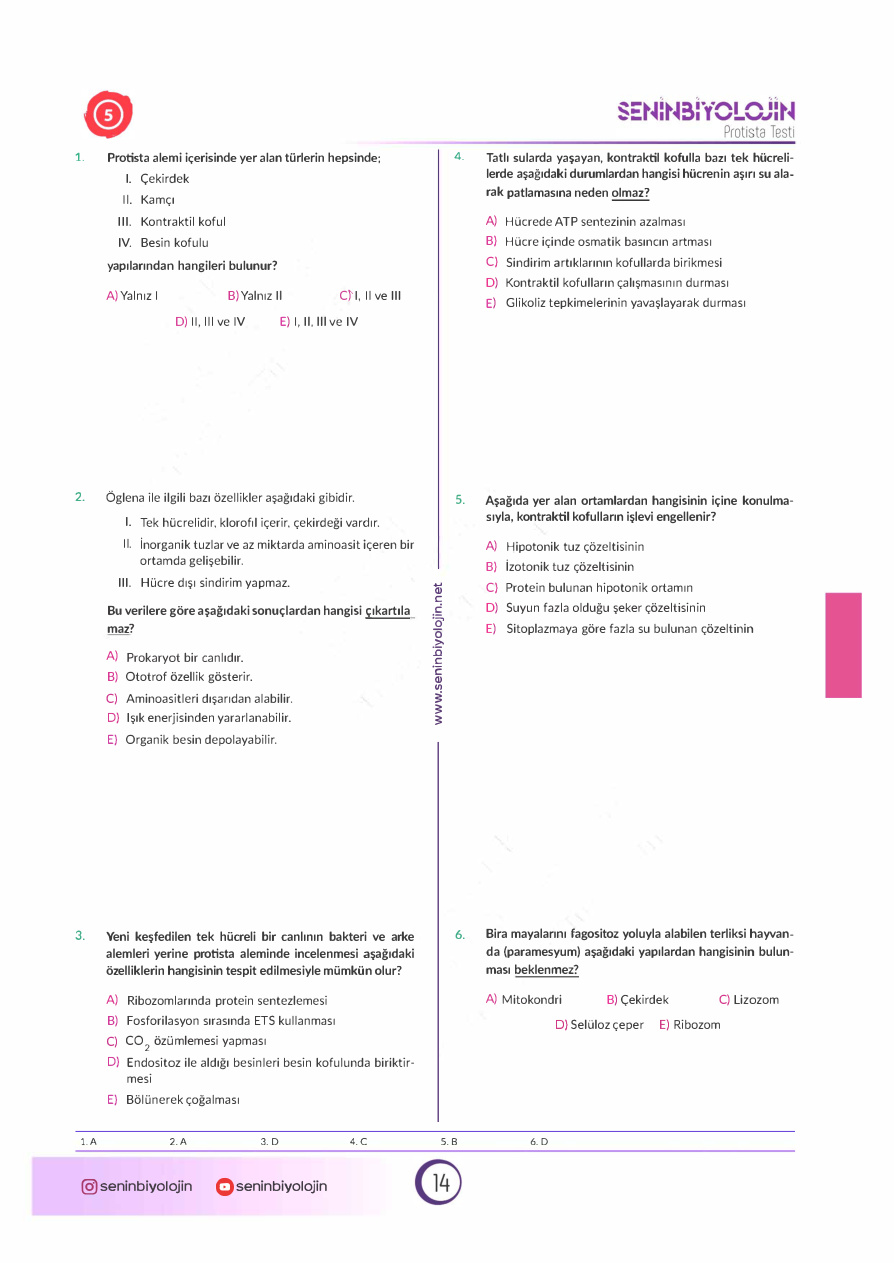 SENIN BIYOLOJIN SORU BANKASI PDF İndir – Senin Biyolojin