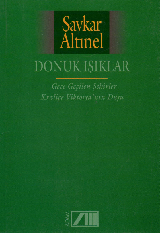 Donuk Işıklar PDF İndir – Şavkar Altınel