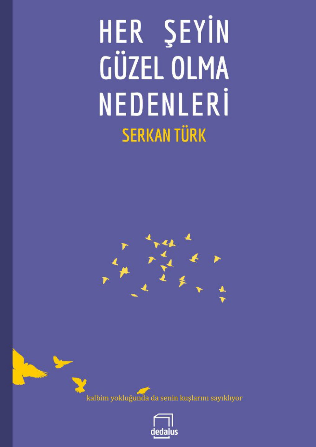 Herşeyin Güzel Olma Nedenleri PDF İndir – Serkan Türk