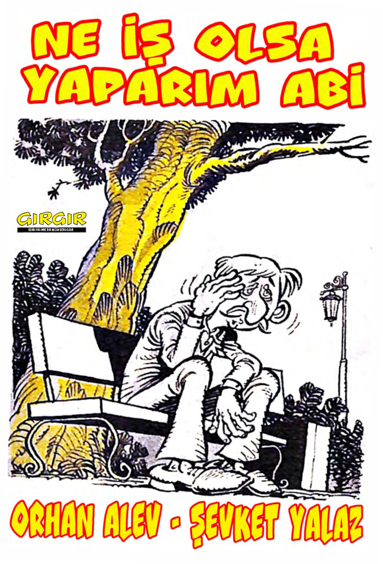 Ne İş Olsa Yaparım Abi PDF İndir – Şevket Yalaz