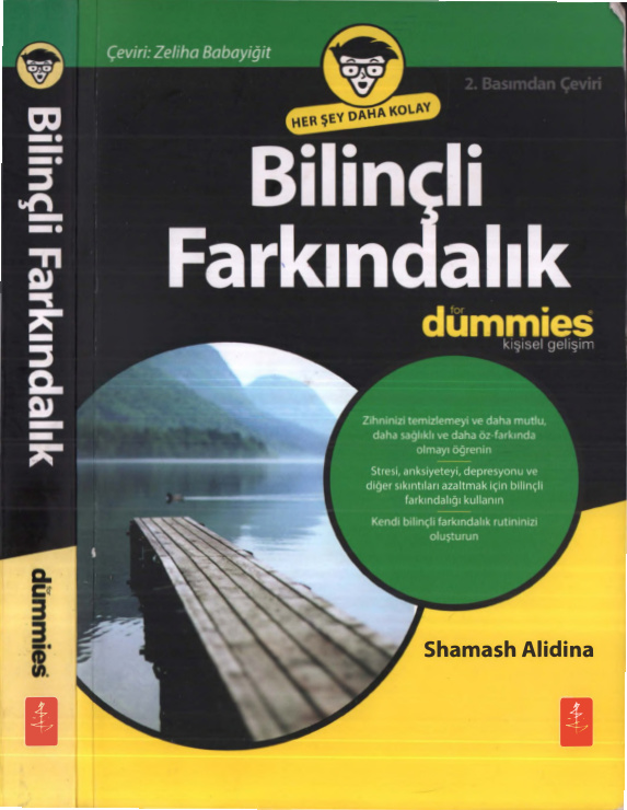 Bilinçli Farkındalık PDF İndir – Shamash Alidina