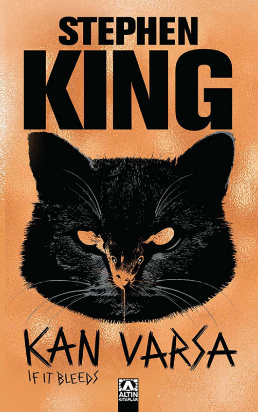 Kan Varsa PDF İndir – Stephen King