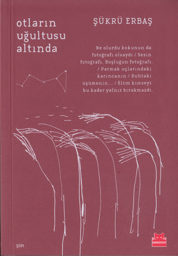 Otların Uğultusu Altında PDF İndir – Şükrü Erbaş