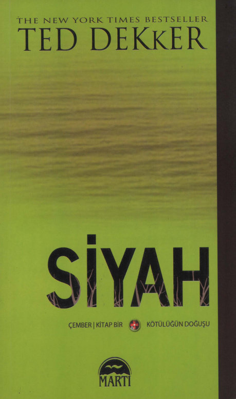 Çember 1: Siyah PDF İndir – Ted Dekker