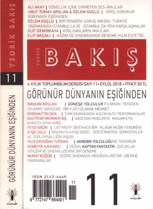 Teorik Bakış Sayı 011: Görünür Dünyanın Eşiğinden PDF İndir – Kolektif