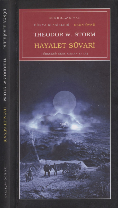 Hayalet Süvari PDF İndir – Theodor W. Storm