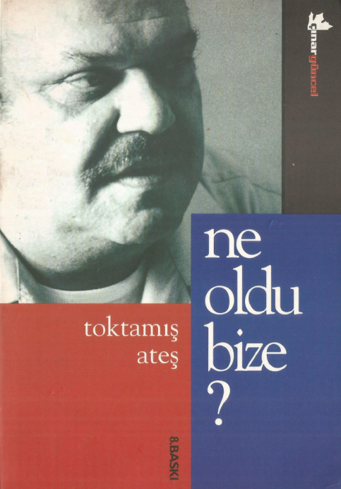 Ne Oldu Bize? PDF İndir – Toktamış Ateş