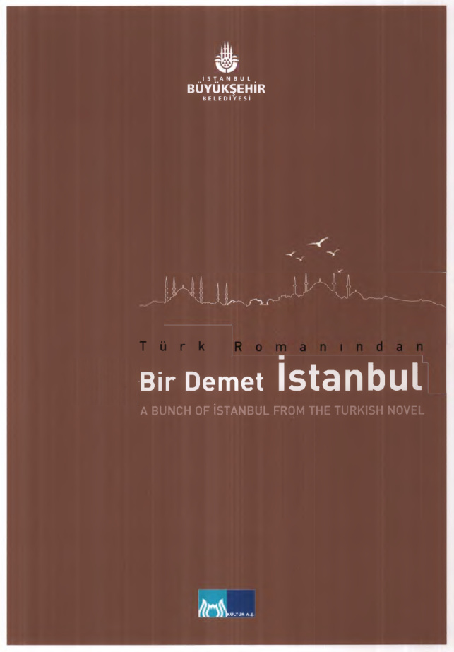 Türk Romanından Bir Demet PDF İndir – Kolektif