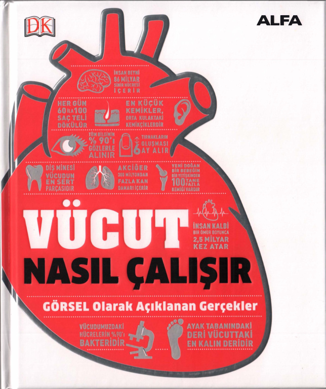Vücut Nasıl Çalışır PDF İndir – Kolektif