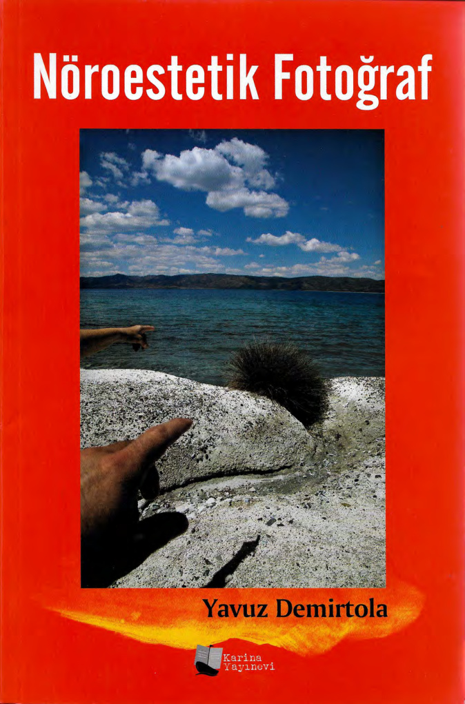 Nöroestetik Fotoğraf PDF İndir – Yavuz Demirtola