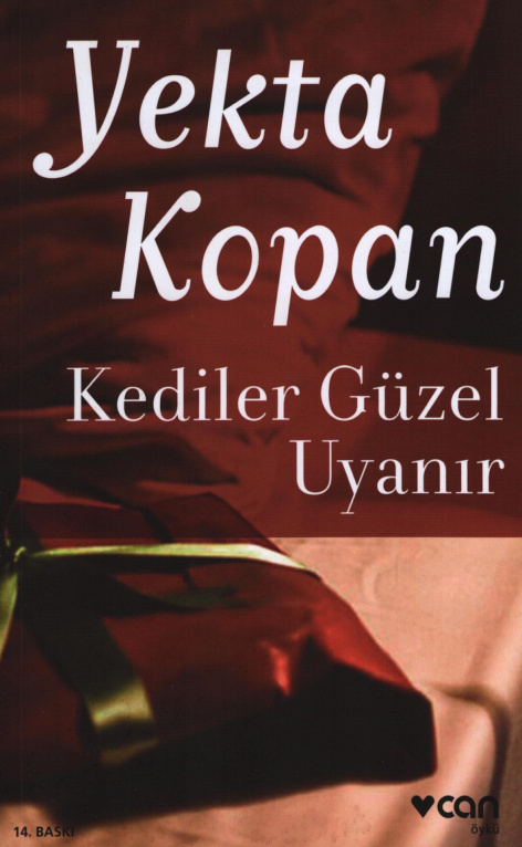 Kediler Güzel Uyanır PDF İndir – Yekta Kopan