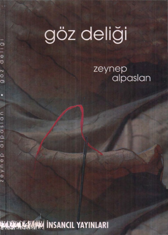 Zeynep Alpaslan Göz Deliği İnsancıl Yayınları Kitap Kapağı
