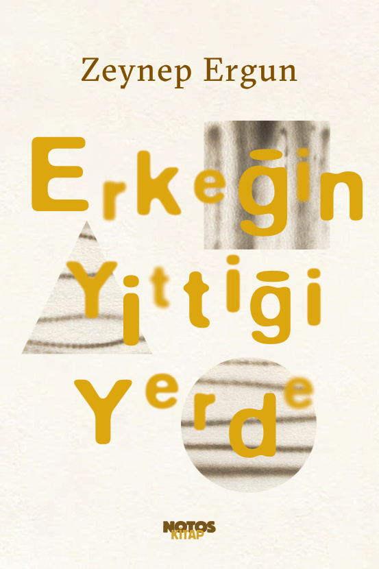Erkeğin Yittiği Yerde PDF İndir – Zeynep Ergun