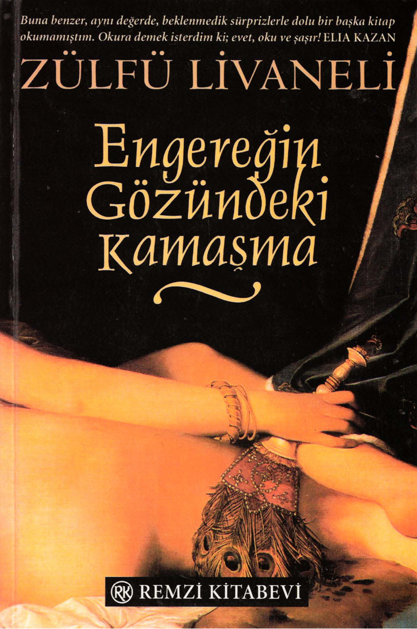 Engereğin Gözündeki Kamaşma PDF İndir – Zülfü Livaneli