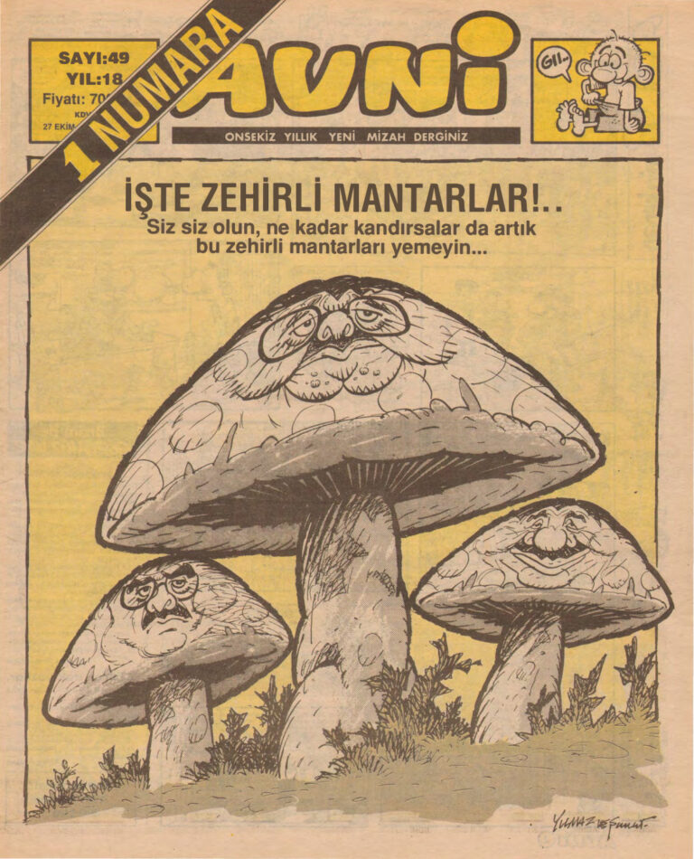 Avni Sayı 049 Kitap Kapağı