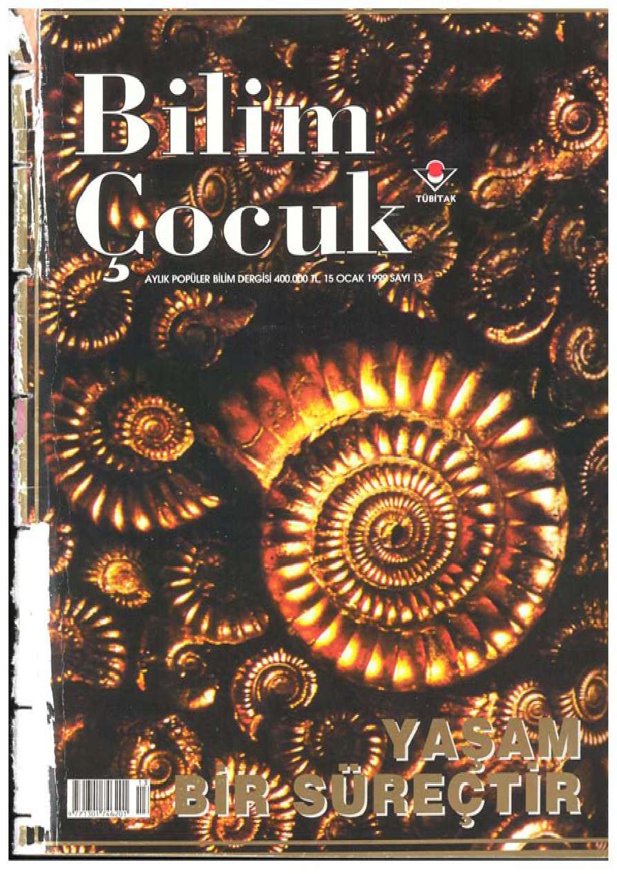 Bilim ve Çocuk Sayı 013 Ocak 1999 PDF İndir – Kolektif