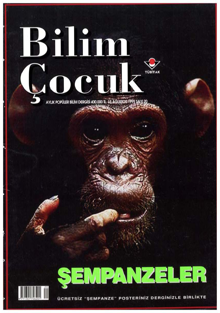 Bilim ve Çocuk Sayı 020 Ağustos 1999 PDF İndir – Kolektif