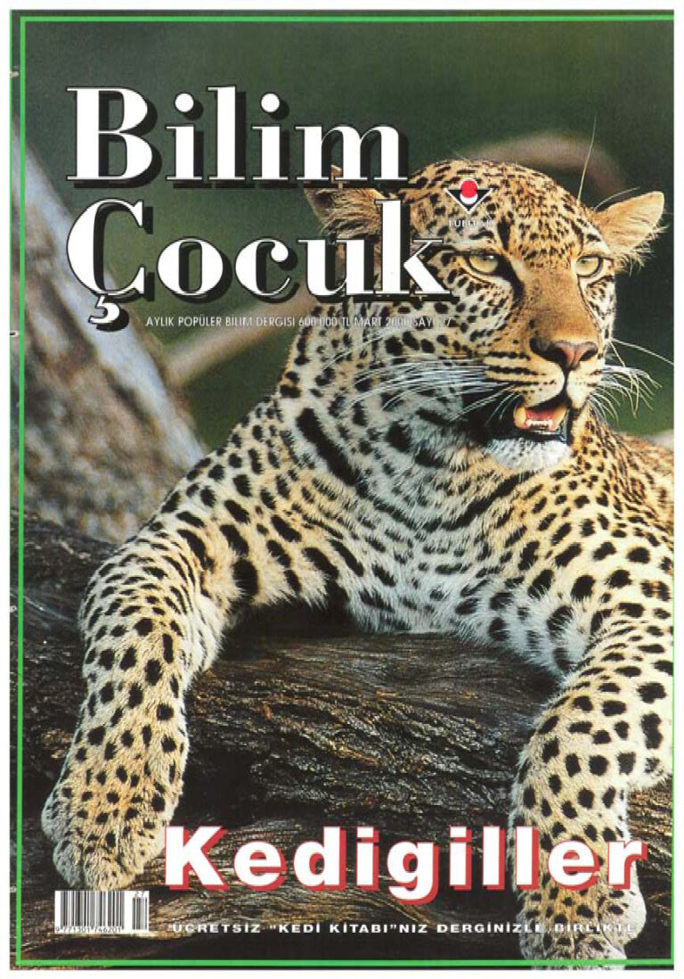Bilim ve Çocuk Sayı 027 Mart 2000 PDF İndir - Kolektif 1 Bilim ve Çocuk Sayı 027 Mart 2000 Kitap Kapağı