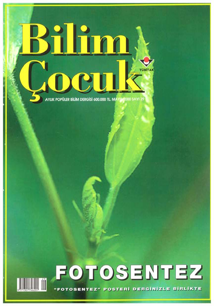 Bilim ve Çocuk Sayı 029 Mayıs 2000 PDF İndir – Kolektif