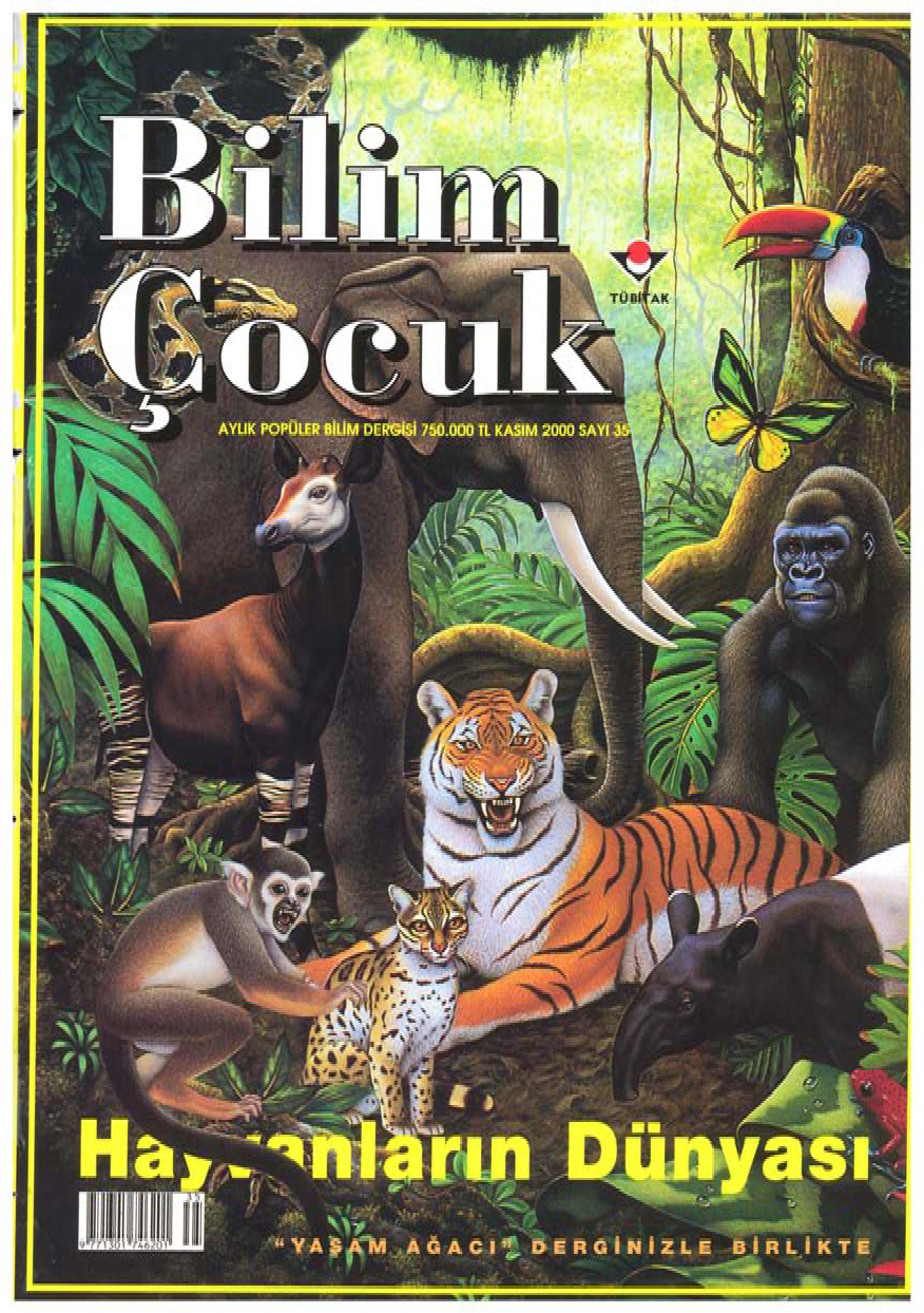Bilim ve Çocuk Sayı 035 Kasım 2000 PDF İndir – Kolektif