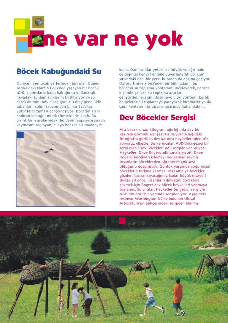 Bilim ve Çocuk Sayı 047 Kasım 2001 Kitap Kapağı