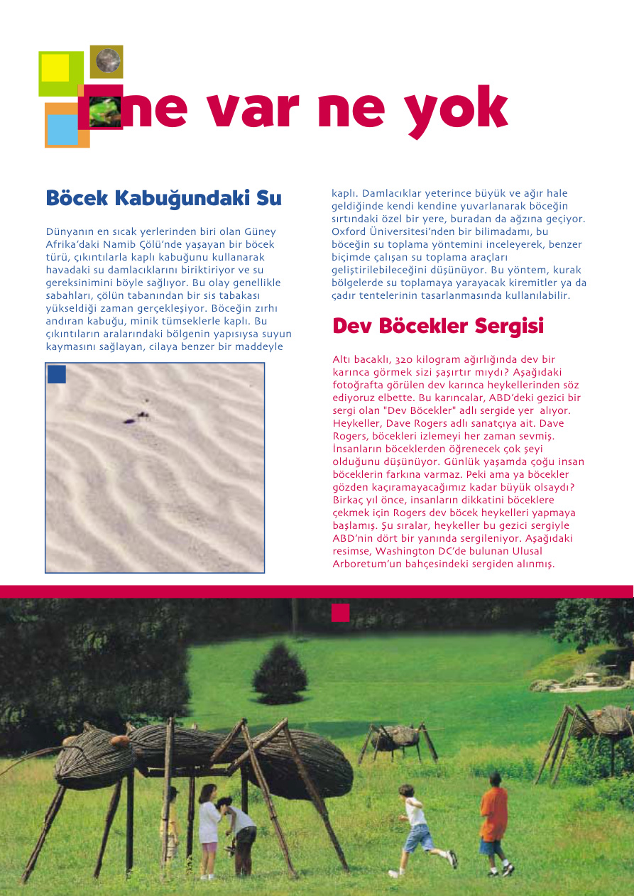 Bilim ve Çocuk Sayı 047 Kasım 2001 PDF İndir – Kolektif