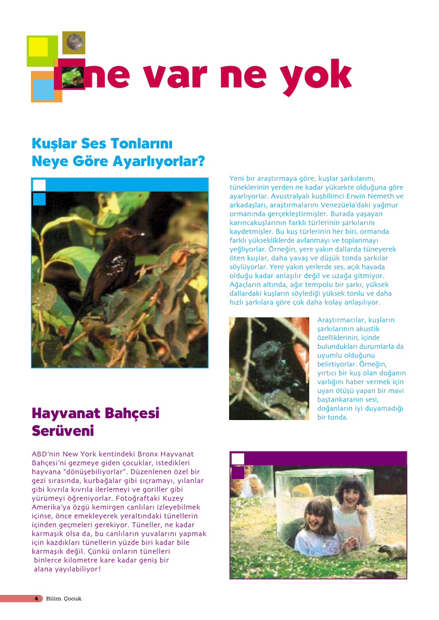 Bilim ve Çocuk Sayı 050 Şubat 2002 PDF İndir – Kolektif