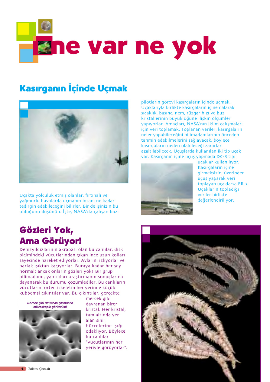 Bilim ve Çocuk Sayı 051 Mart 2002 PDF İndir – Kolektif