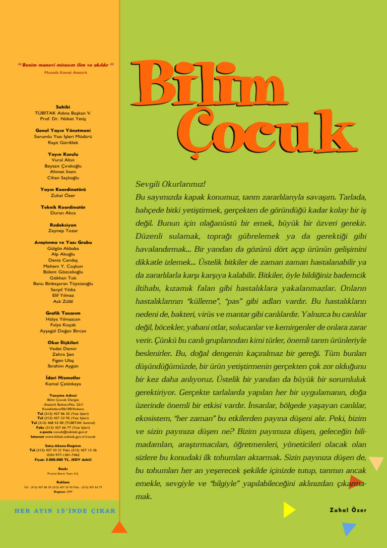 Bilim ve Çocuk Sayı 082 Ekim 2004 Kitap Kapağı