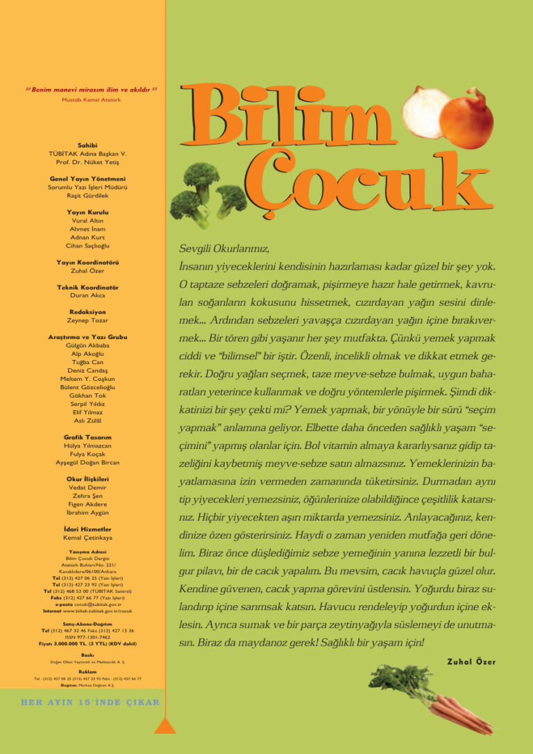 Bilim ve Çocuk Sayı 097 Ocak 2006 Kitap Kapağı