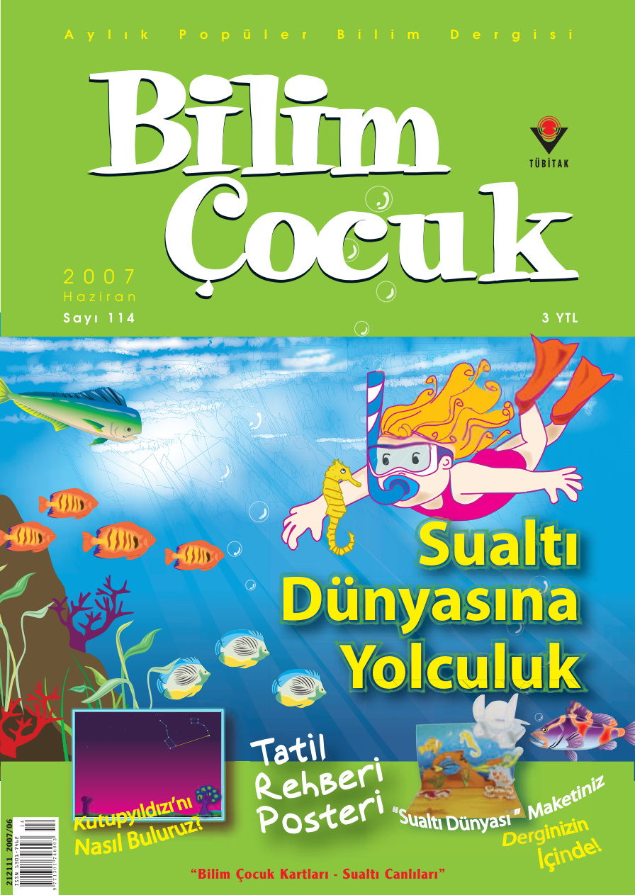 Bilim ve Çocuk Sayı 114 Haziran 2007 PDF İndir – Kolektif