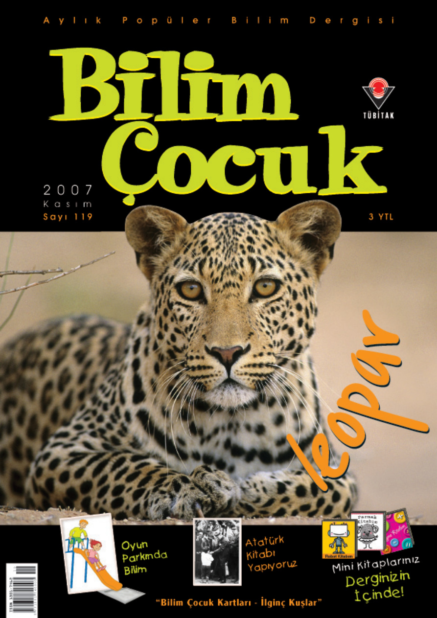Bilim ve Çocuk Sayı 119 Kasım 2007 PDF İndir – Kolektif
