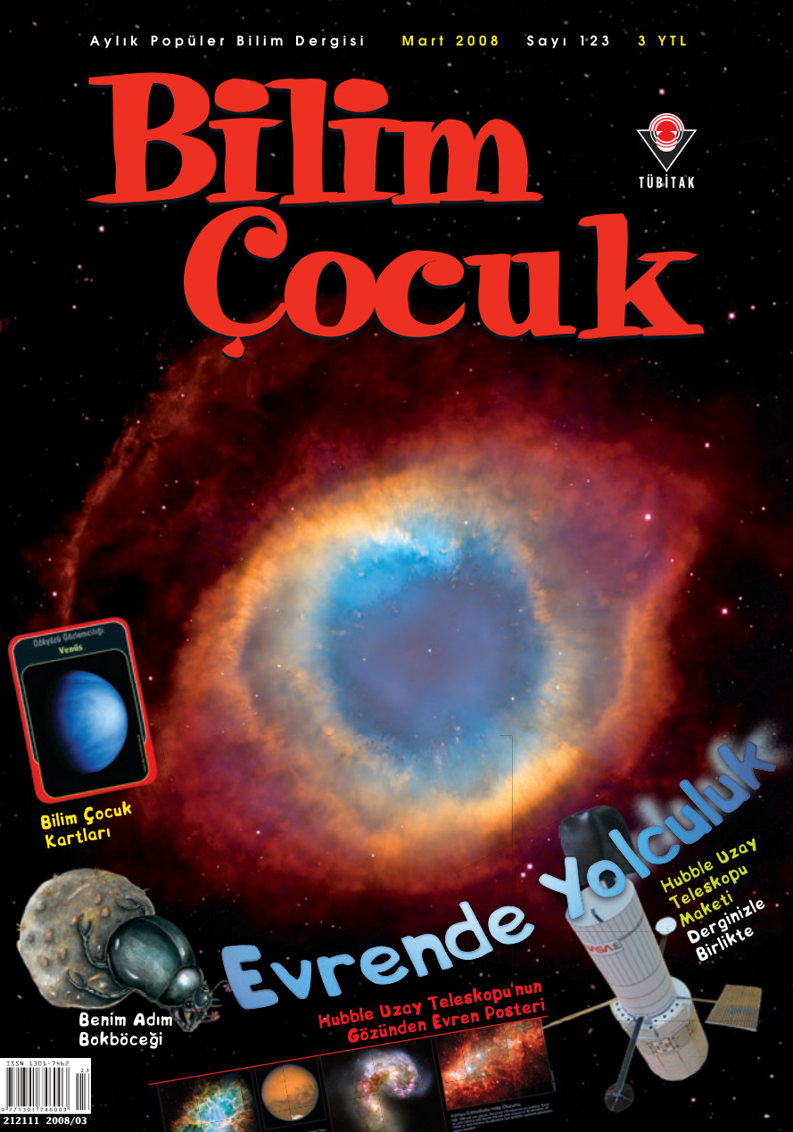 Bilim ve Çocuk Sayı 123 Mart 2008 PDF İndir – Kolektif