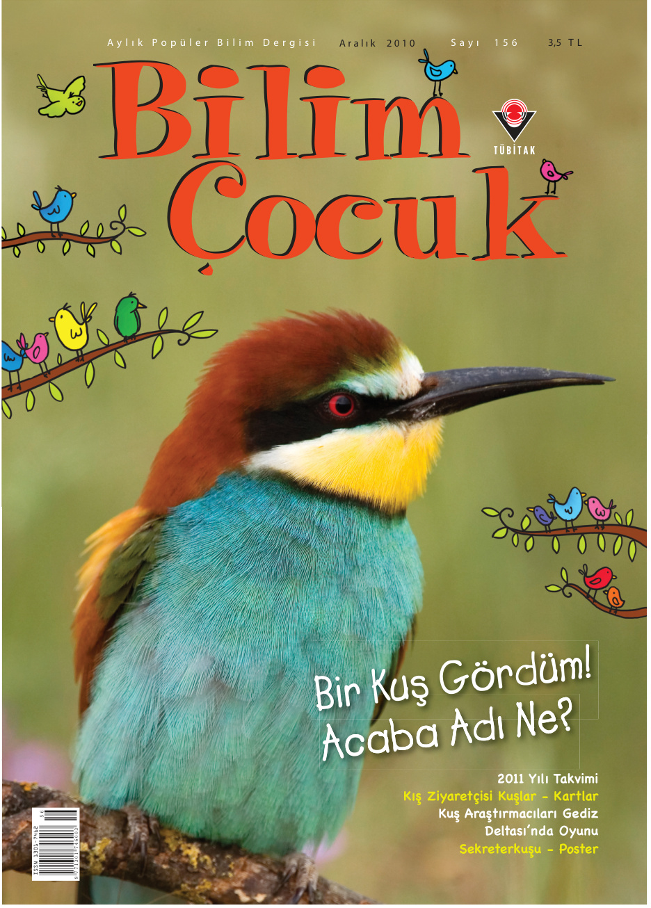 Bilim ve Çocuk Sayı 156 Aralık 2010 PDF İndir – Kolektif