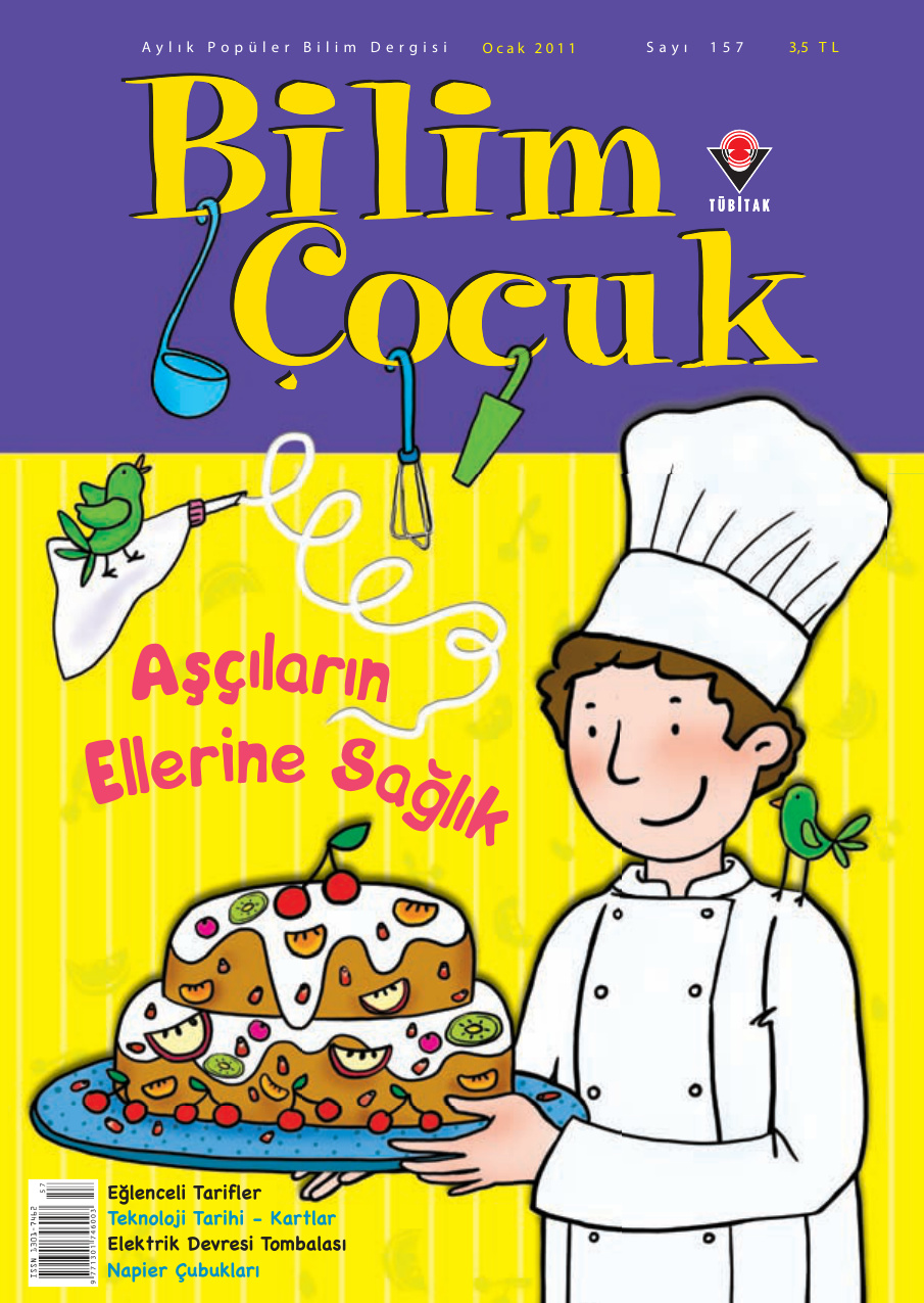 Bilim ve Çocuk Sayı 157 Ocak 2011 PDF İndir – Kolektif