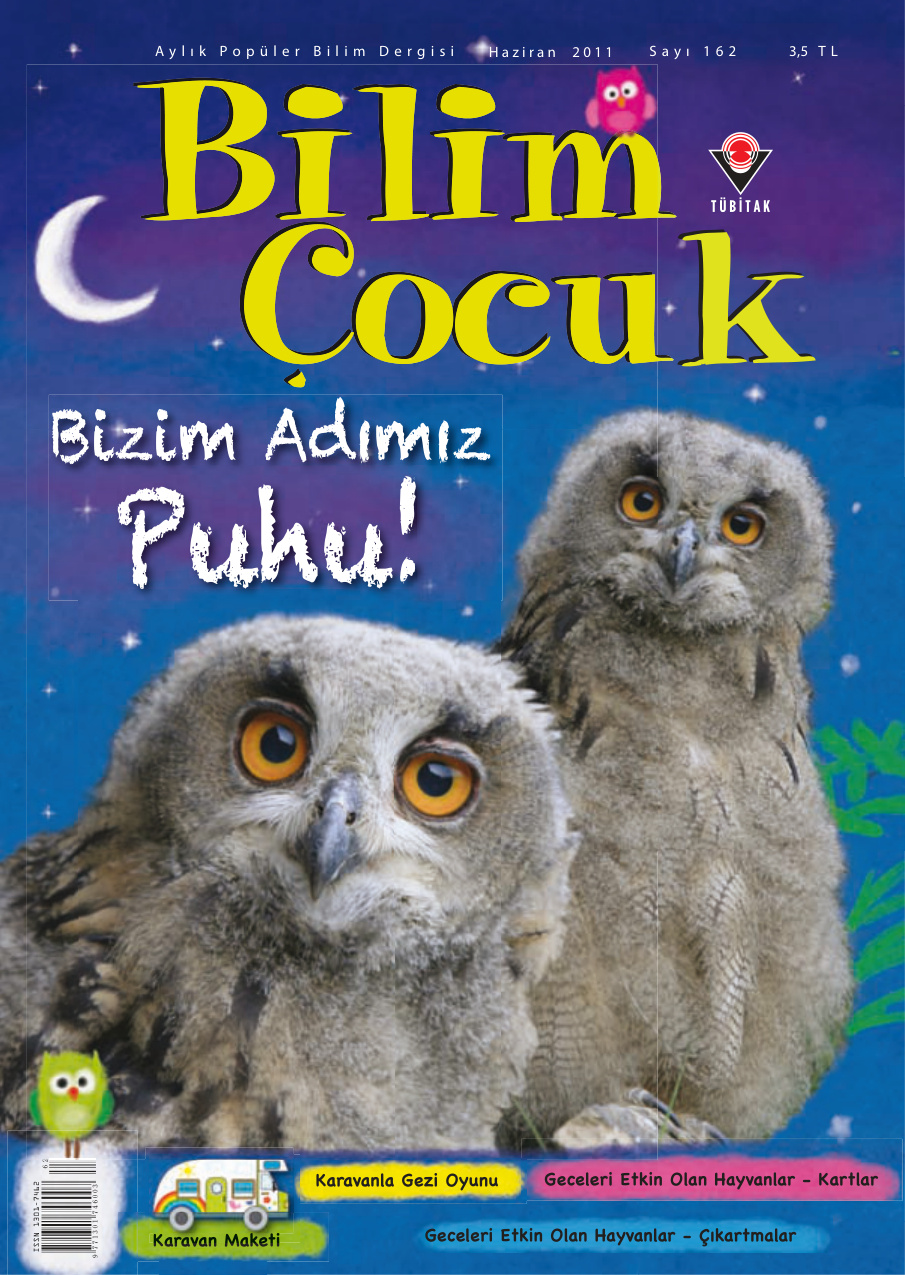 Bilim ve Çocuk Sayı 162 Haziran 2011 PDF İndir – Kolektif
