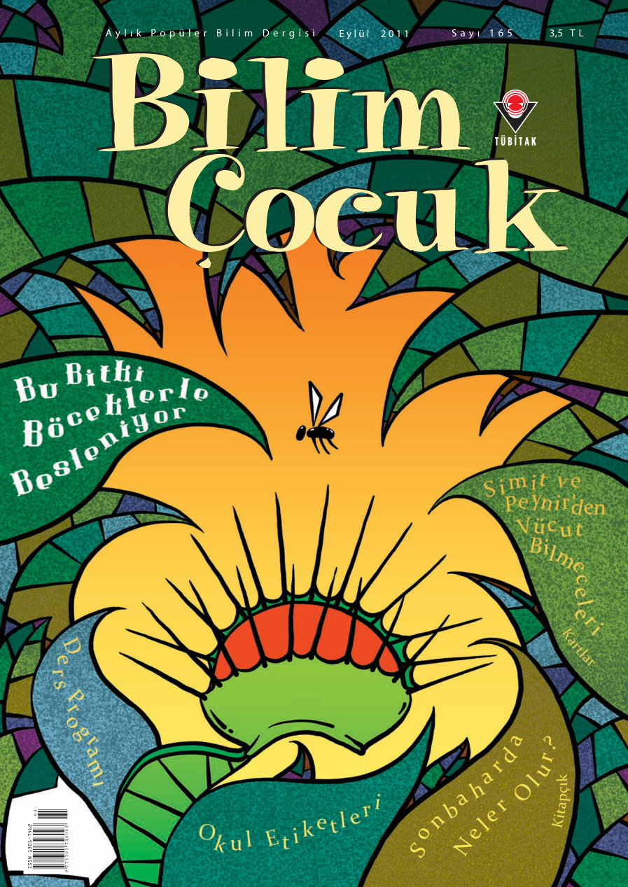 Bilim ve Çocuk Sayı 165 Eylül 2011 PDF İndir – Kolektif