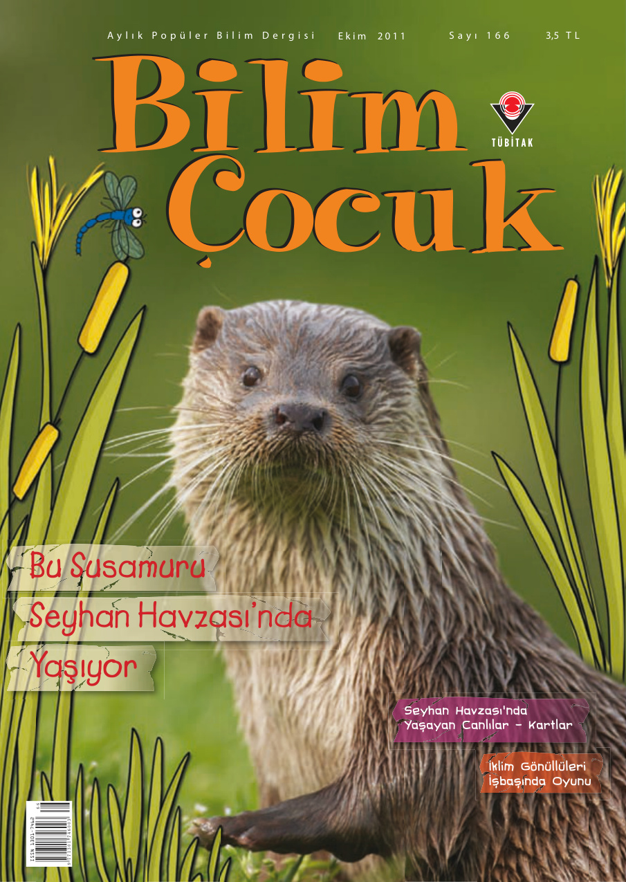 Bilim ve Çocuk Sayı 166 Ekim 2011 PDF İndir – Kolektif