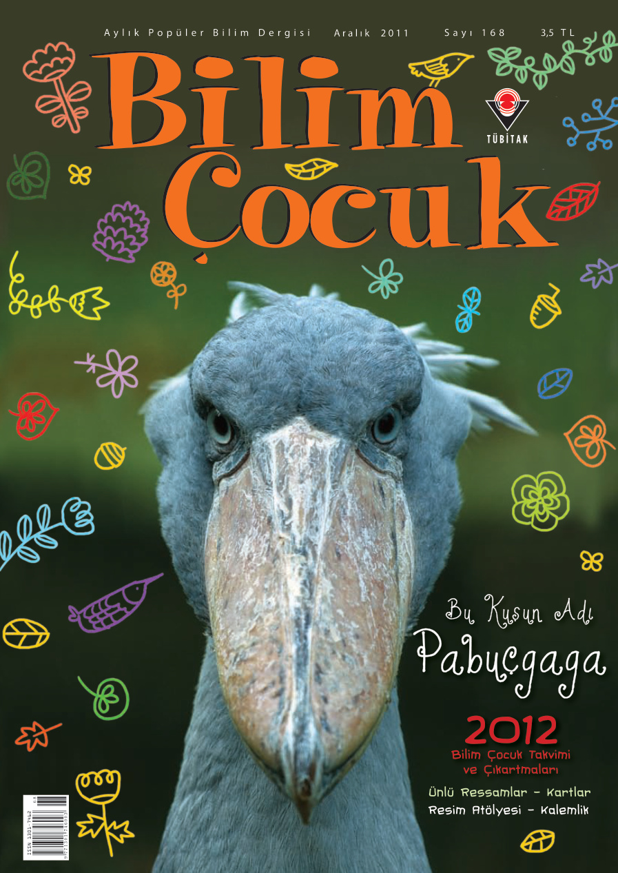 Bilim ve Çocuk Sayı 168 Aralık 2011 PDF İndir – Kolektif