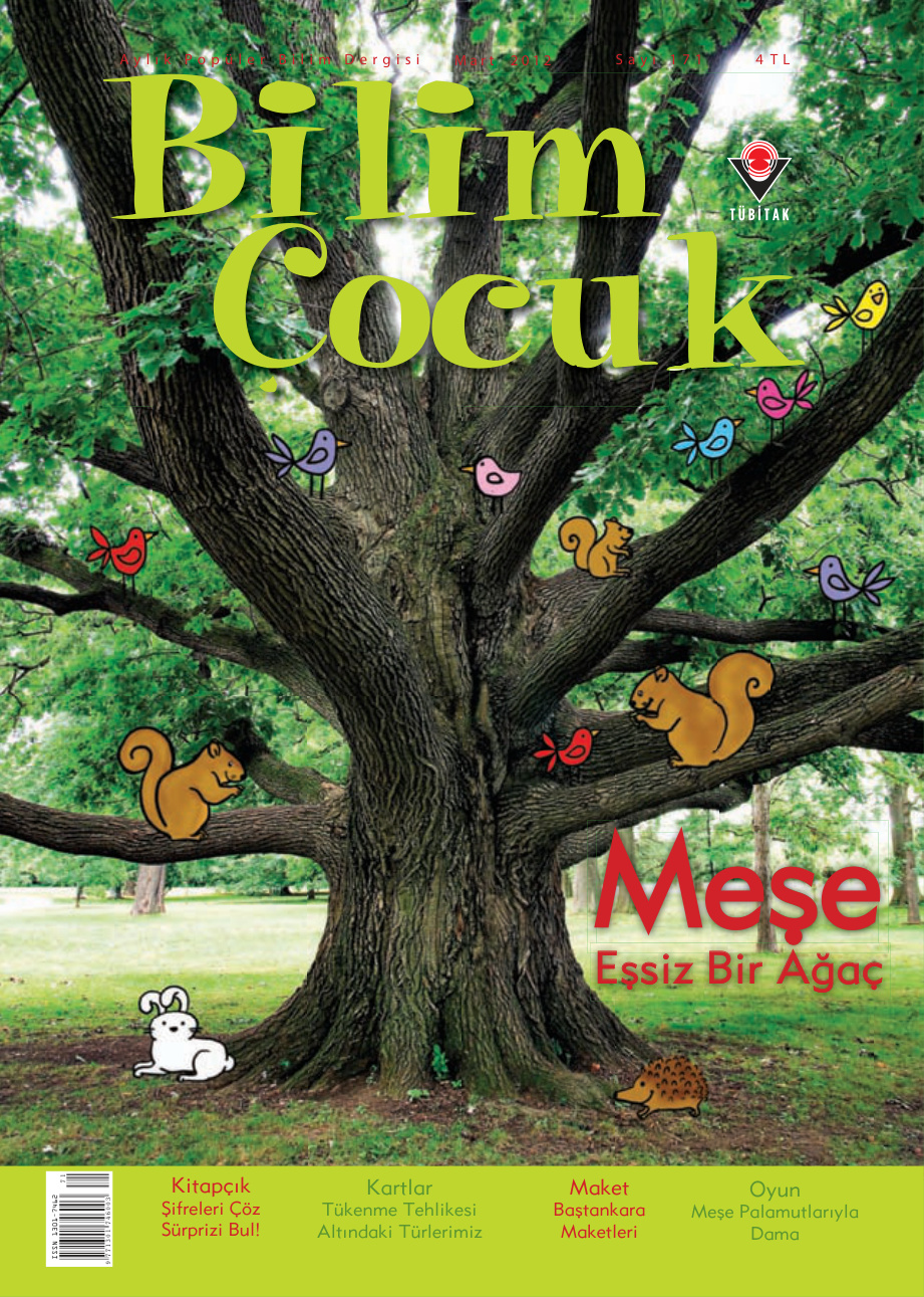 Bilim ve Çocuk Sayı 171 Mart 2012 PDF İndir – Kolektif