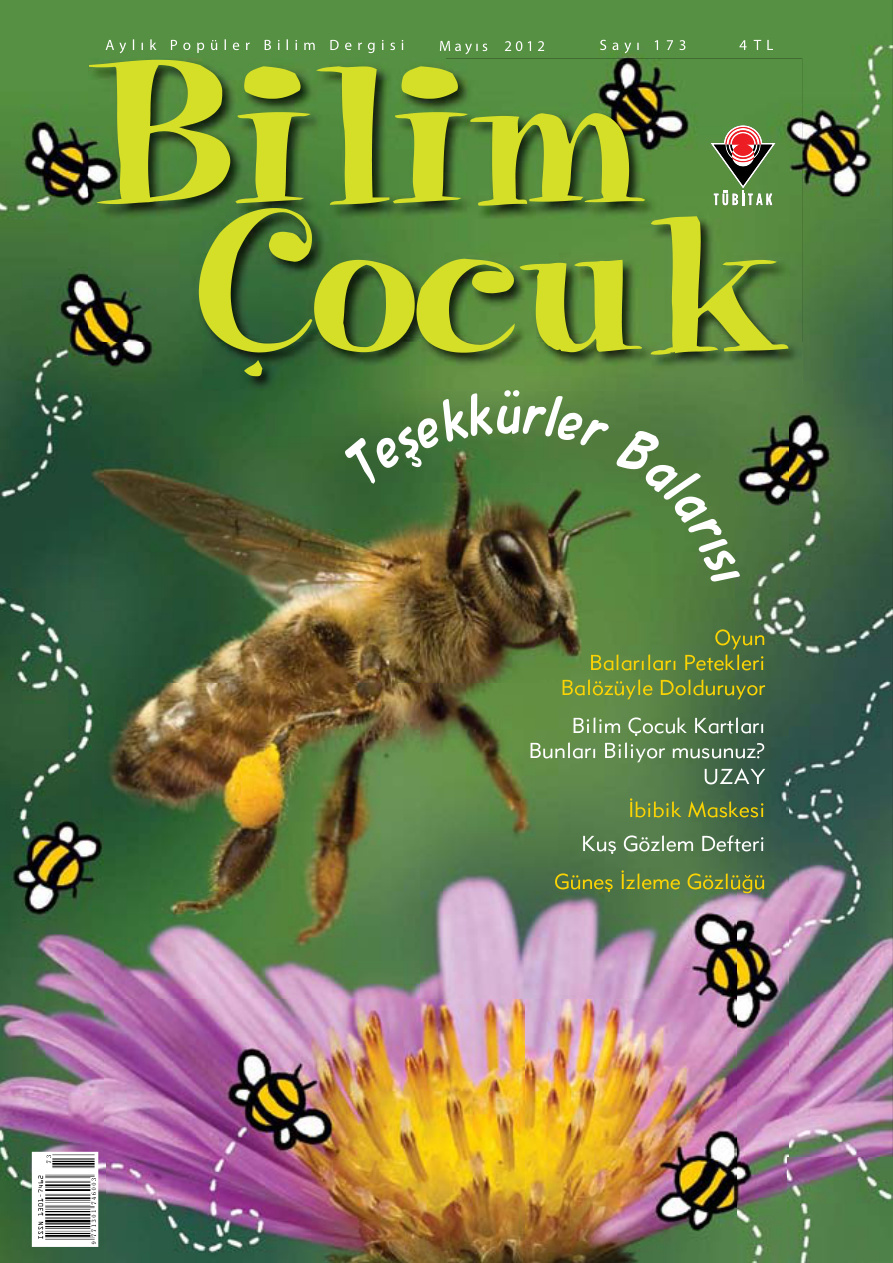 Bilim ve Çocuk Sayı 173 Mayıs 2012 PDF İndir – Kolektif