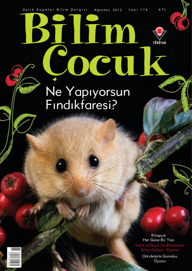 Bilim ve Çocuk Sayı 176 Ağustos 2012 Kitap Kapağı
