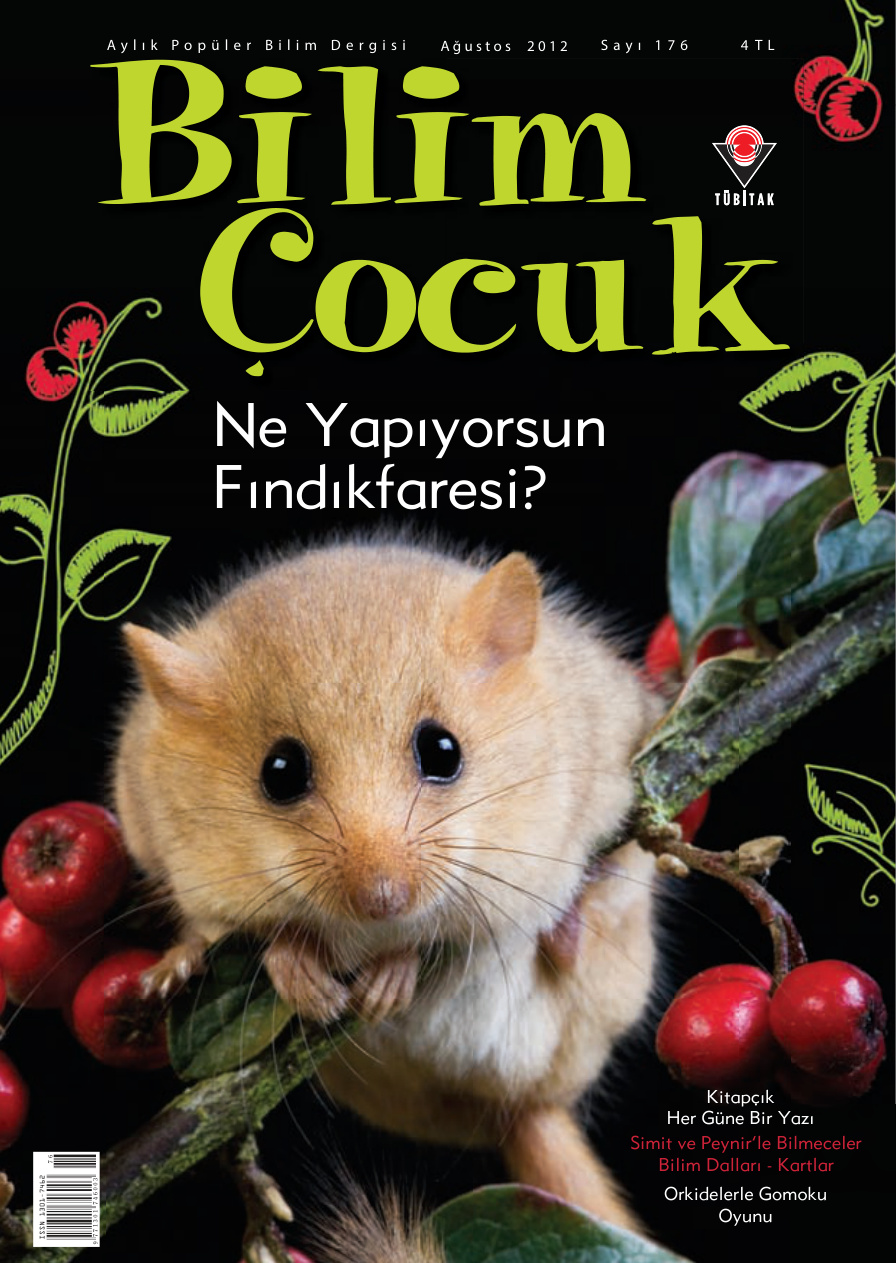 Bilim ve Çocuk Sayı 176 Ağustos 2012 PDF İndir – Kolektif