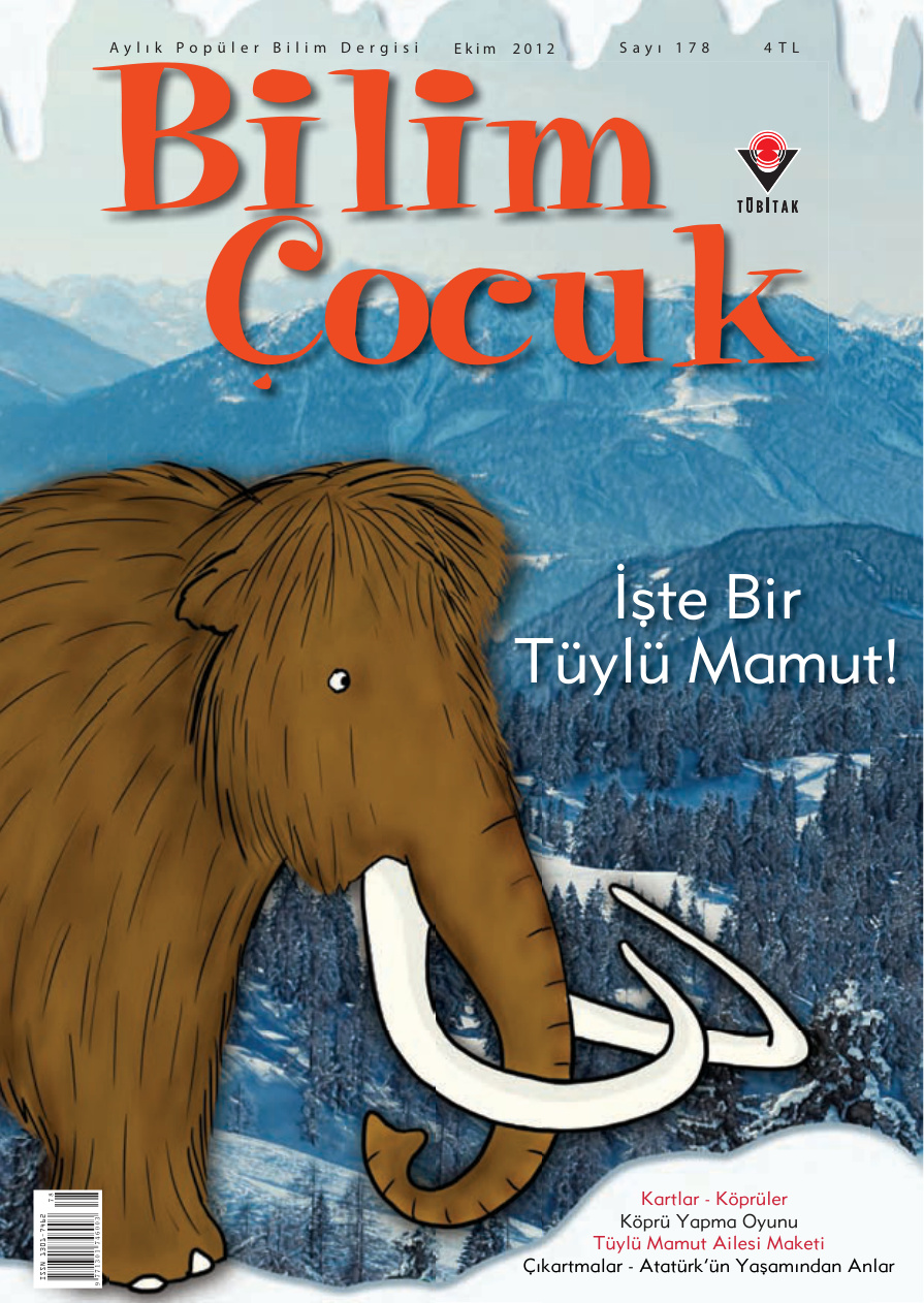 Bilim ve Çocuk Sayı 178 Ekim 2012 PDF İndir – Kolektif